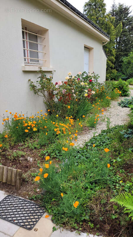 Maison à SAINT-MARS-LA-JAILLE