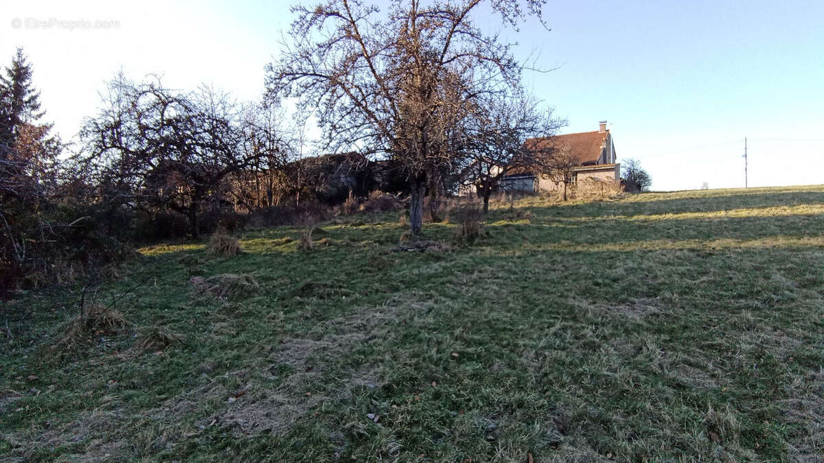 Maison à BERTRAMBOIS