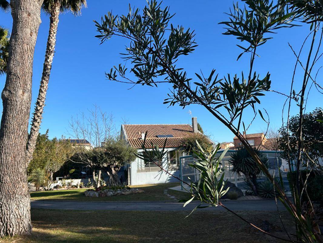 Maison à FRONTIGNAN