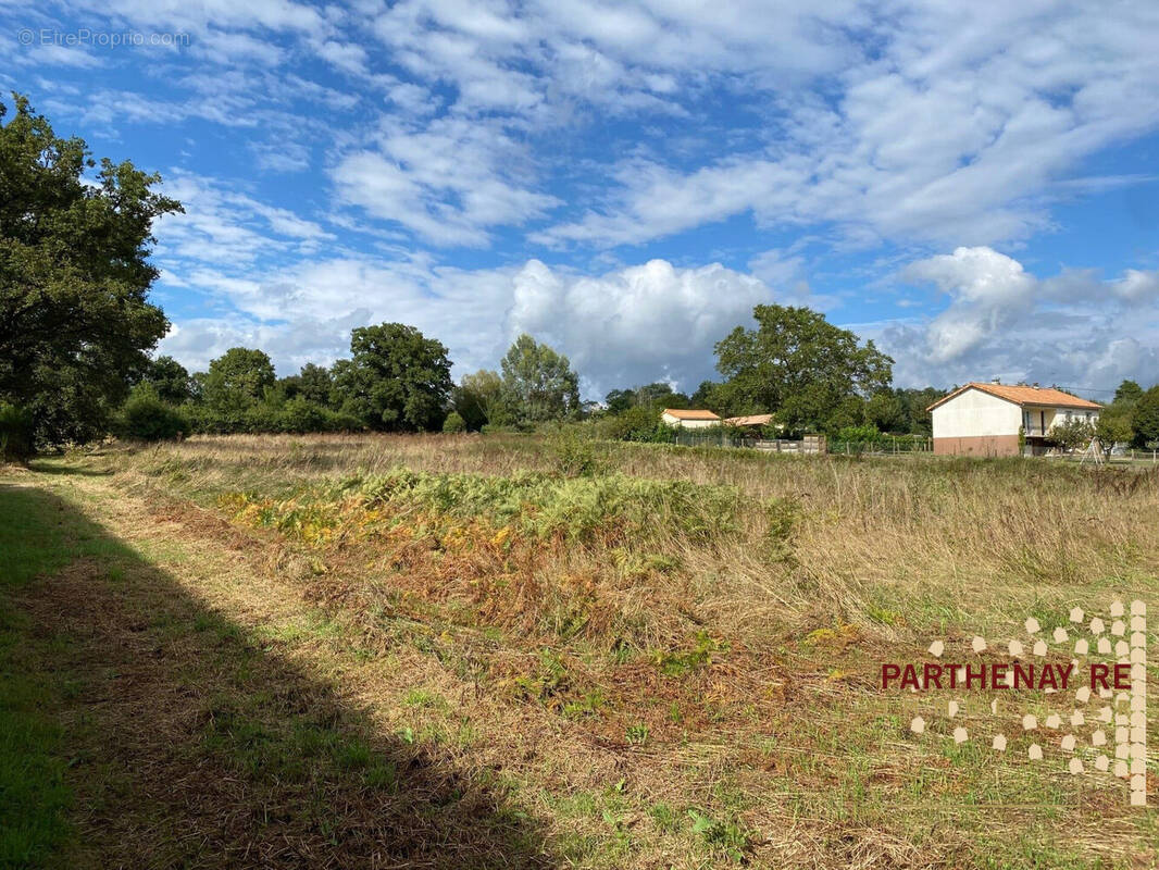 Terrain à LE TALLUD