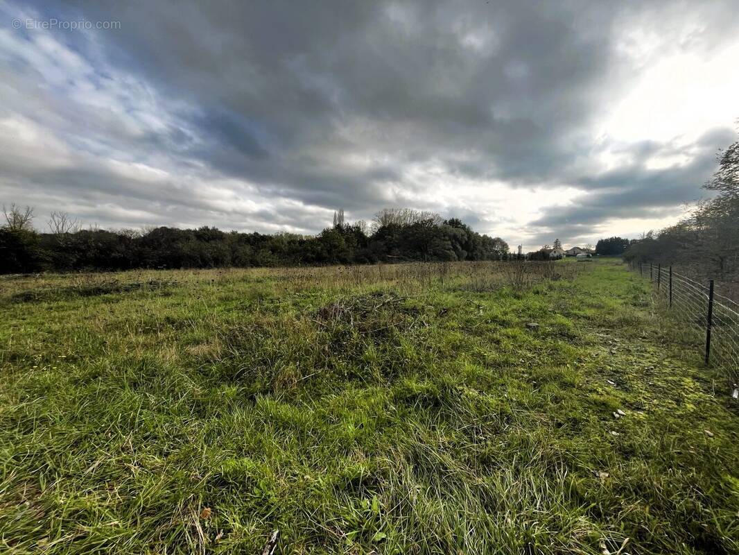 Terrain à SAINT-BENOIT-SUR-LOIRE