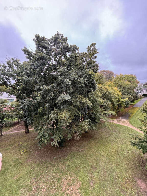 Appartement à SAINT-JEAN-LE-BLANC