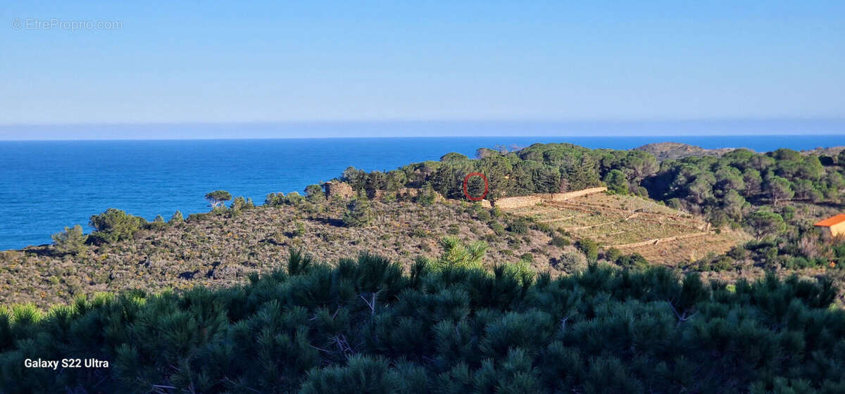 Appartement à BANYULS-SUR-MER