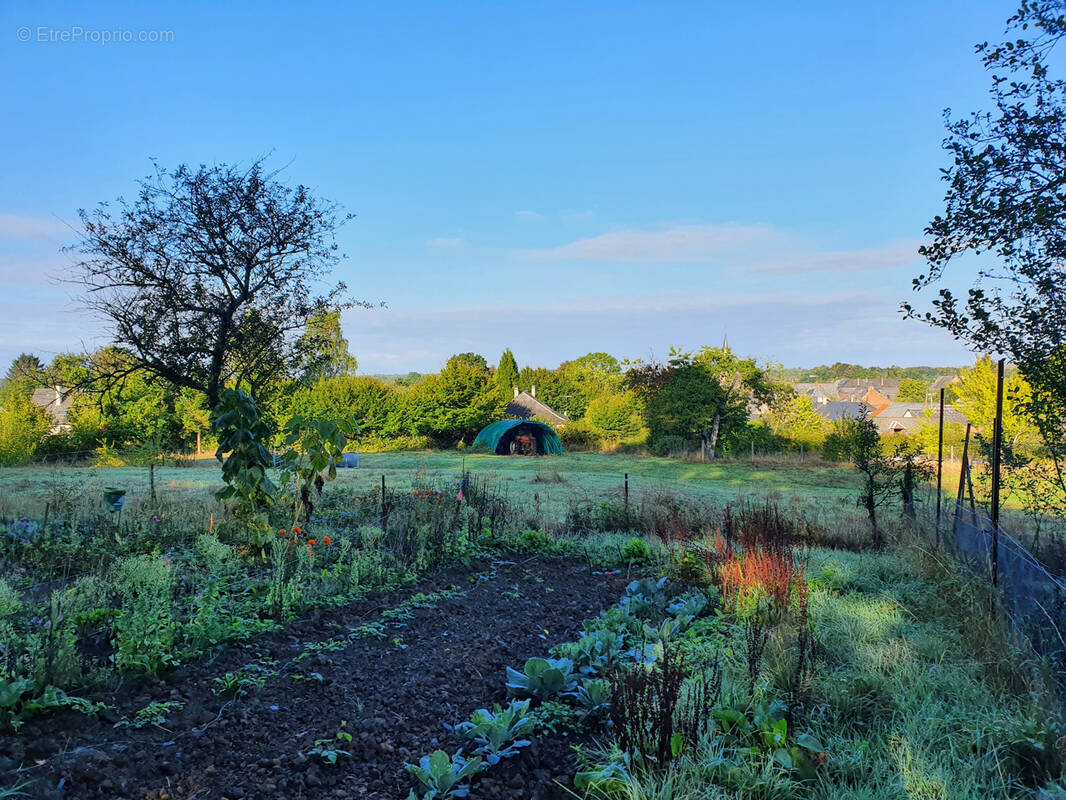 Terrain à SIGNY-LE-PETIT