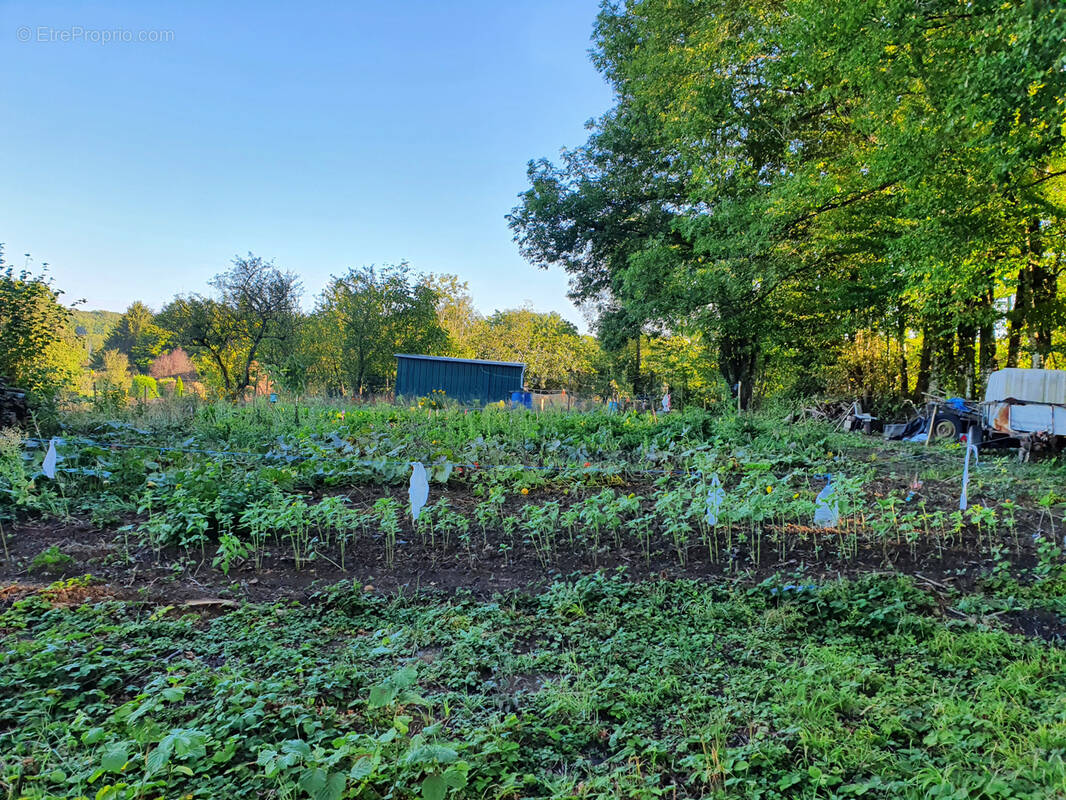 Terrain à SIGNY-LE-PETIT