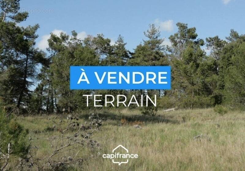 Terrain à SOLLIES-VILLE