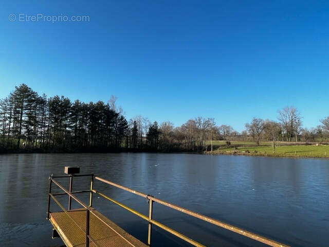 Terrain à MOULINS