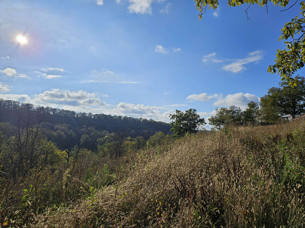 Terrain à SEBAZAC-CONCOURES