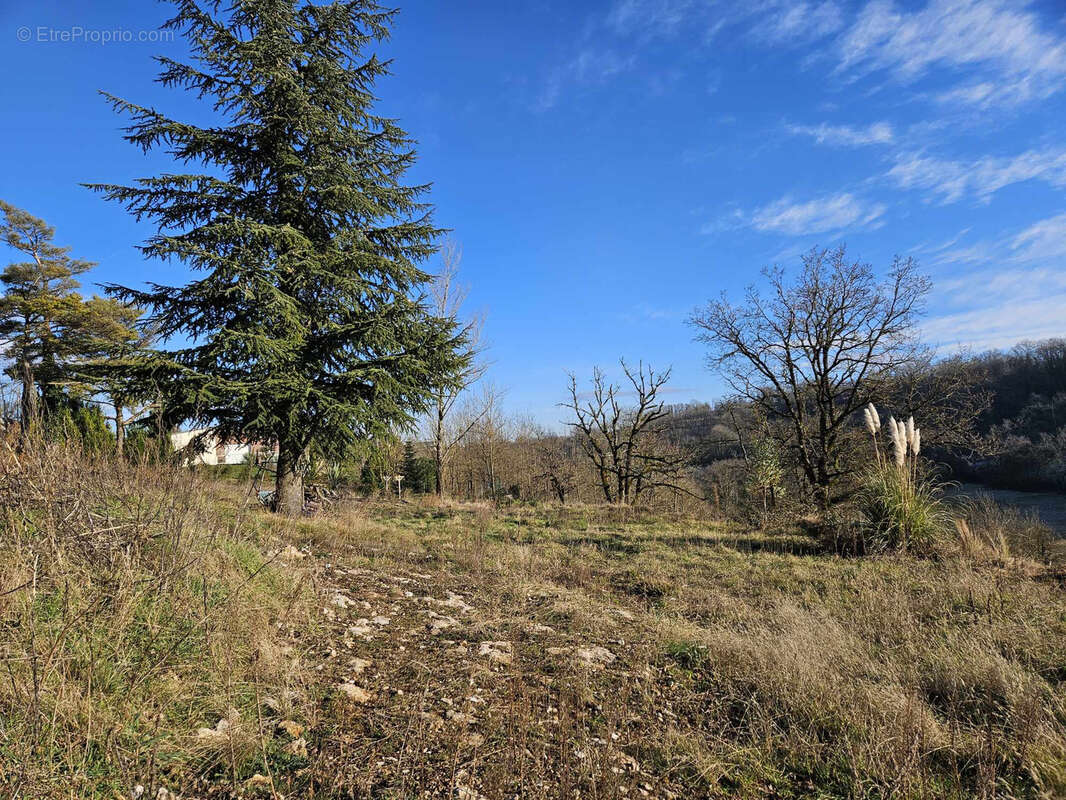 Terrain à SEBAZAC-CONCOURES