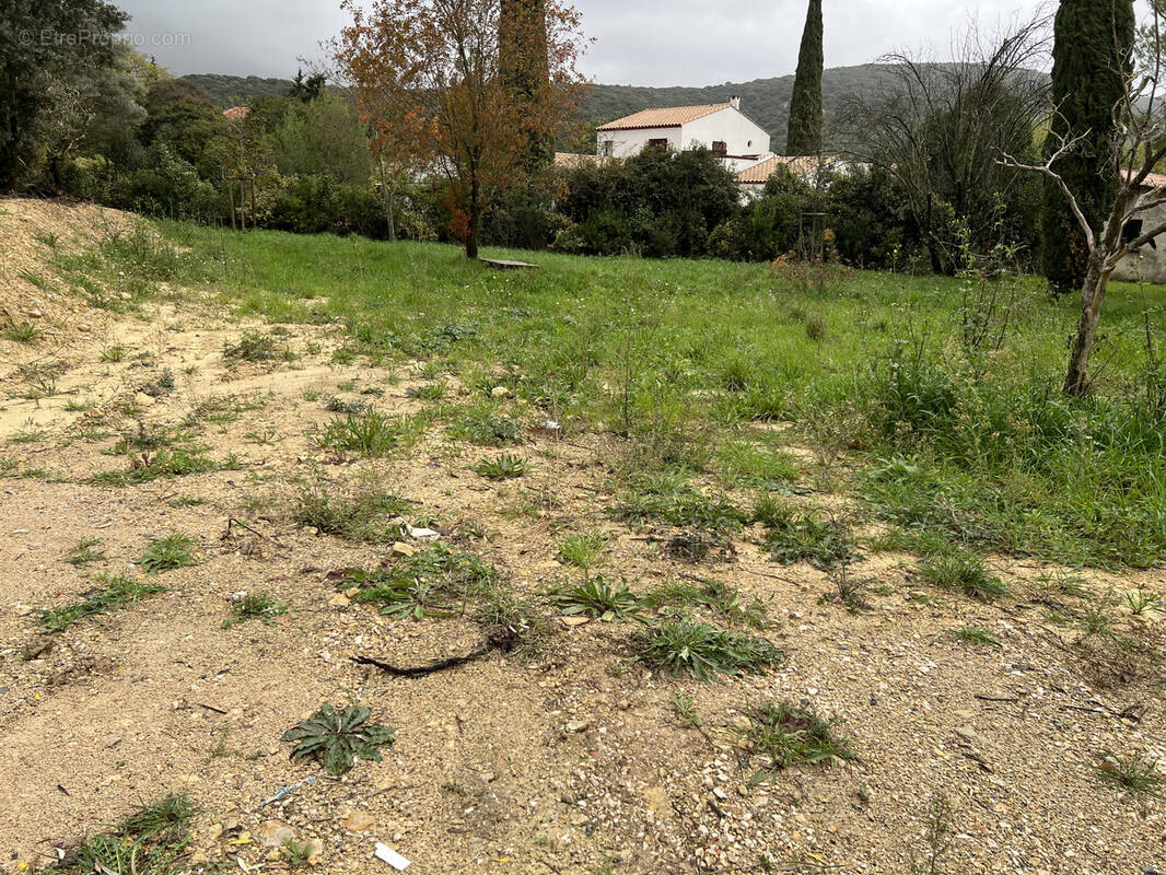 Terrain à LES MATELLES