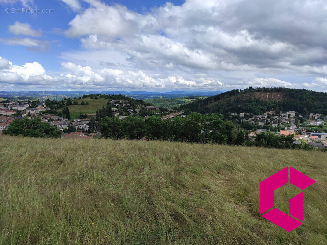 Terrain à YSSINGEAUX