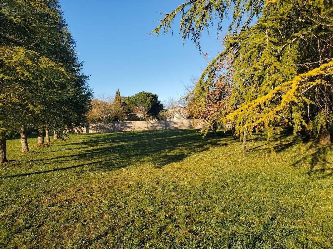 Terrain à BRIE