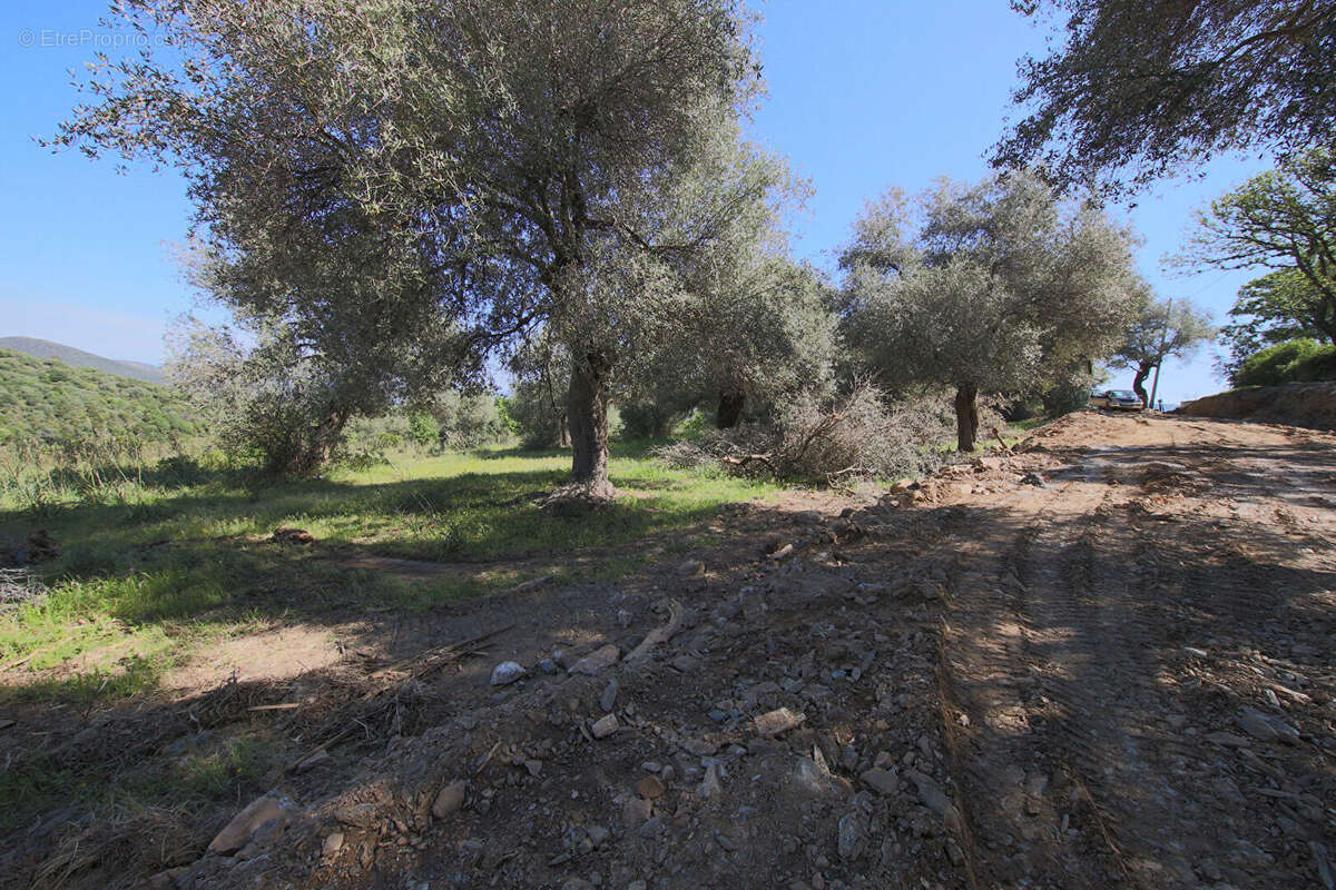 Terrain à RAPALE