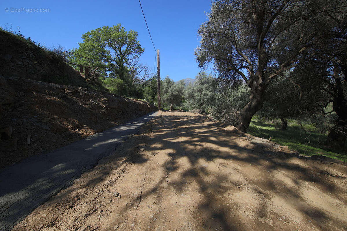 Terrain à RAPALE