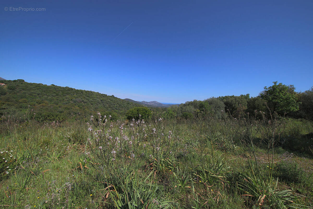 Terrain à RAPALE