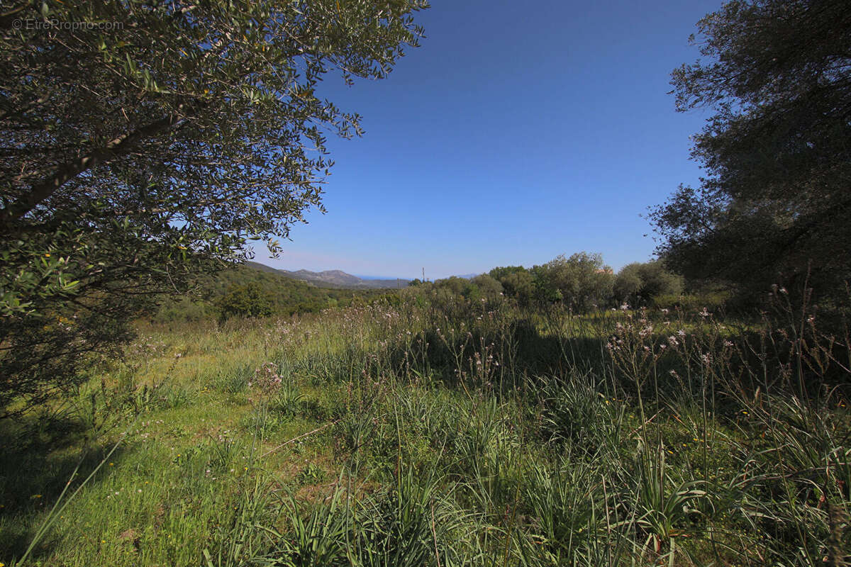 Terrain à RAPALE