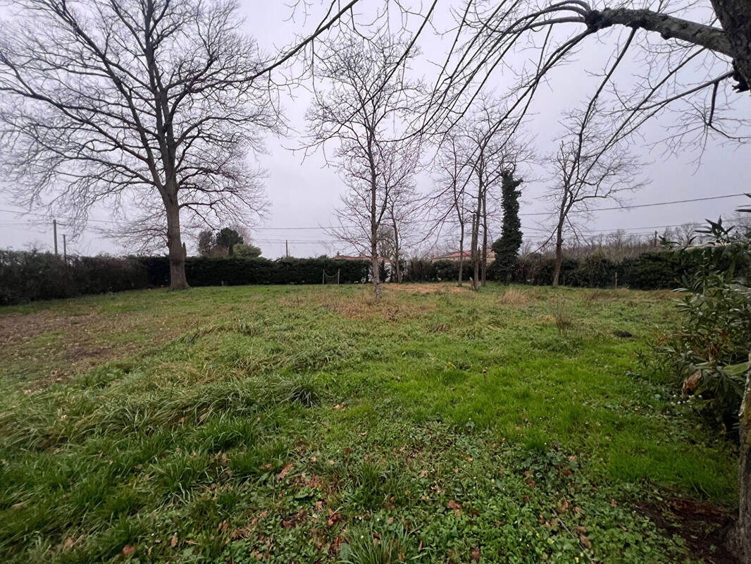 Terrain à SAINTE-TERRE