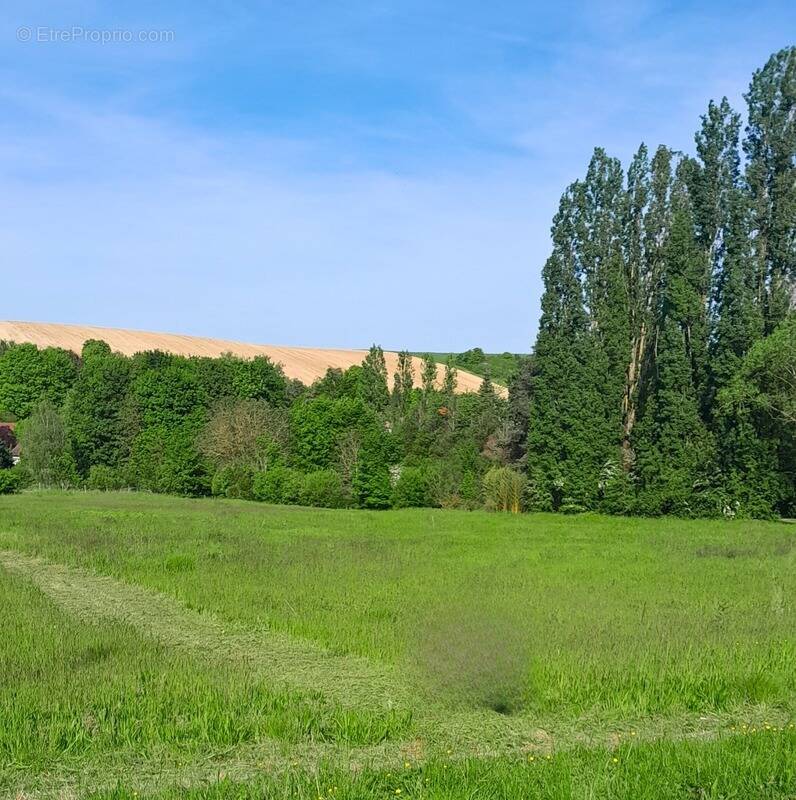 Terrain à MESSON