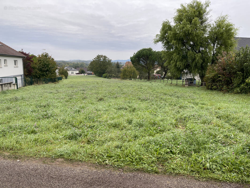 Terrain à DANNEMARIE