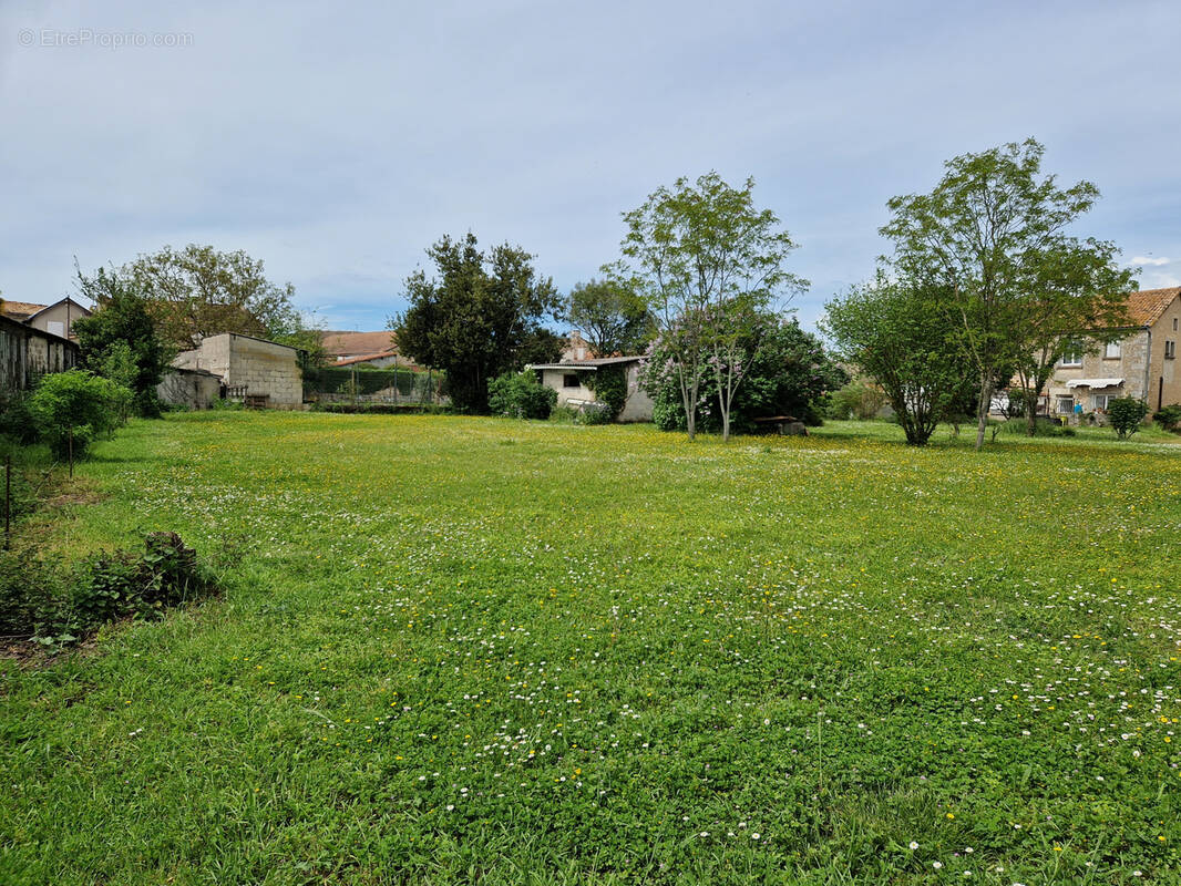 Terrain à CHATEAUNEUF-SUR-CHARENTE