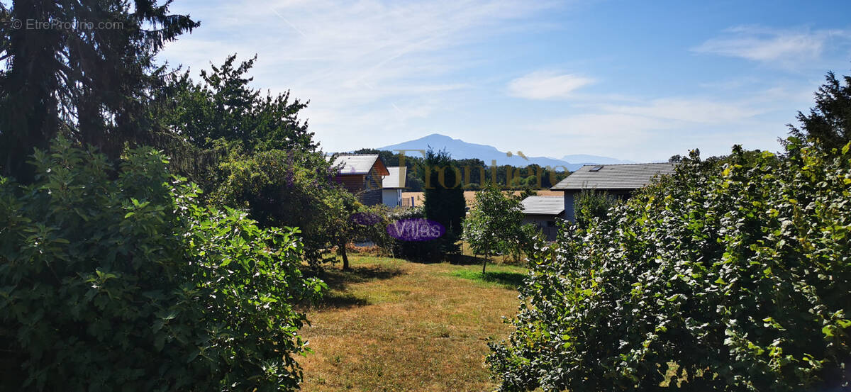 Appartement à MESSERY