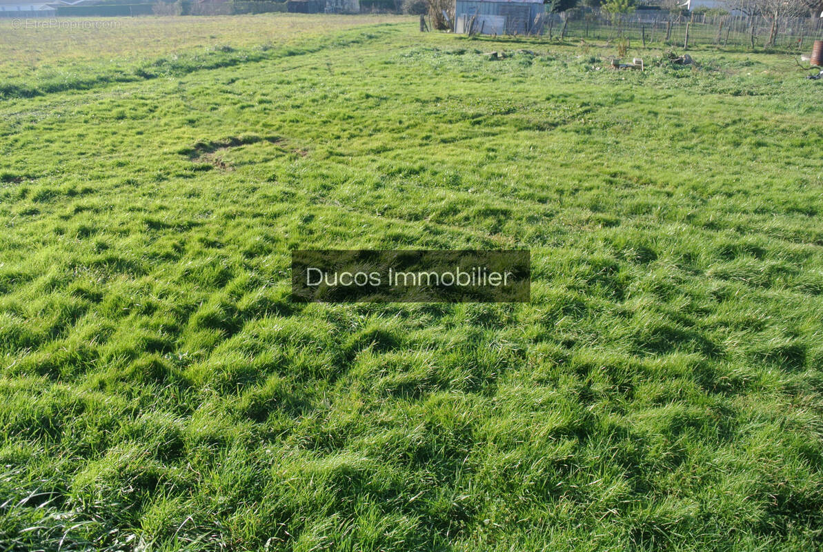 Terrain à MARMANDE