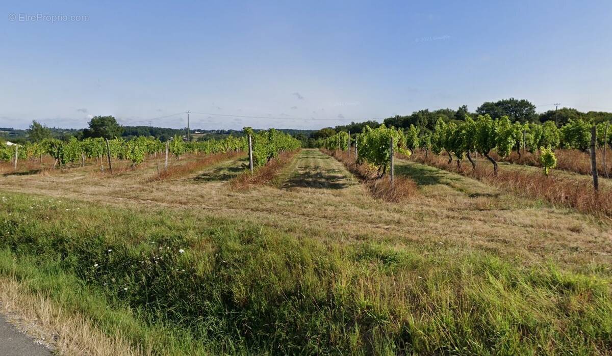 Terrain à SAINTE-FOY-LA-GRANDE