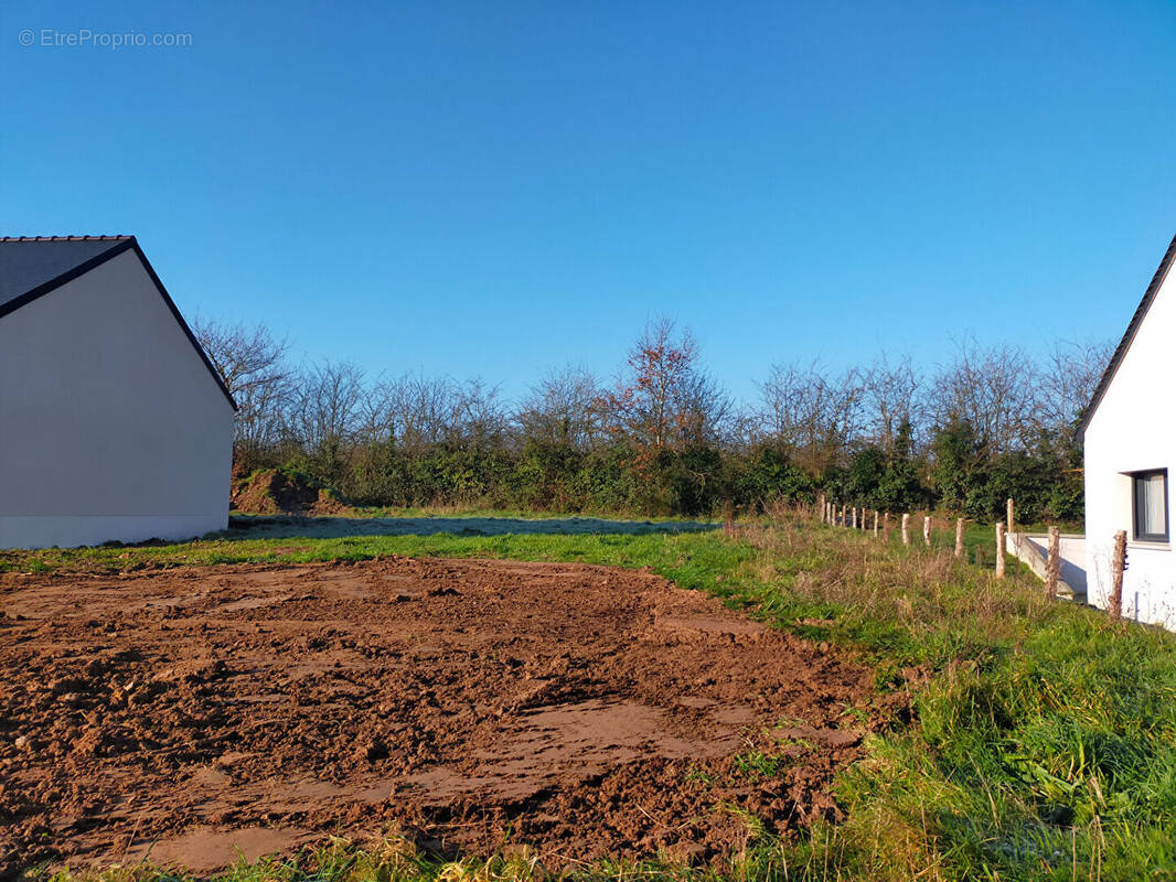 Terrain à ANDOUILLE