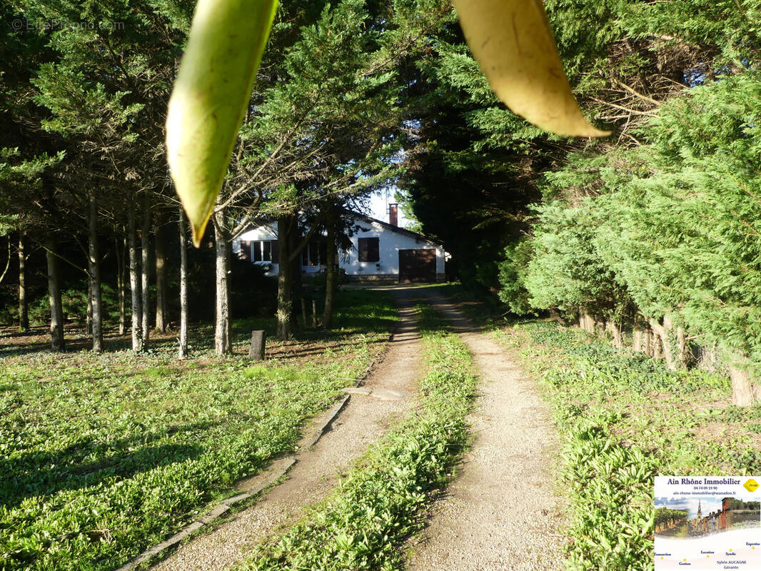 Maison à ROMANECHE-THORINS