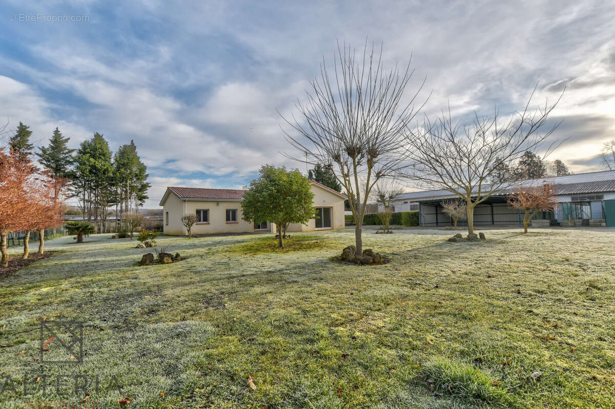 Maison à MONTESQUIEU-VOLVESTRE