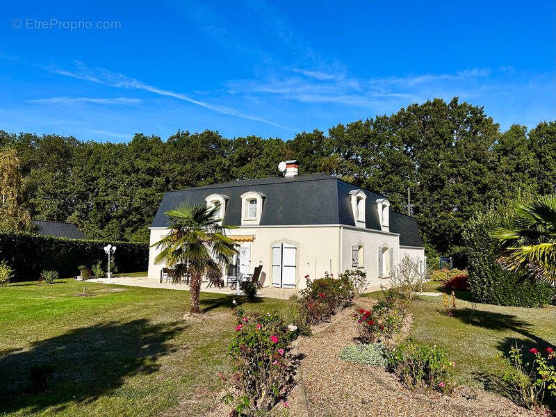 Maison à SAUMUR