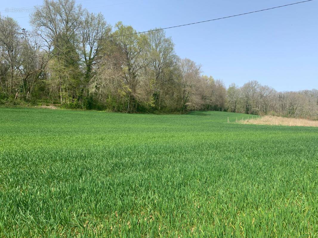 Terrain à SAINT-GEORGES-DE-MONTCLARD