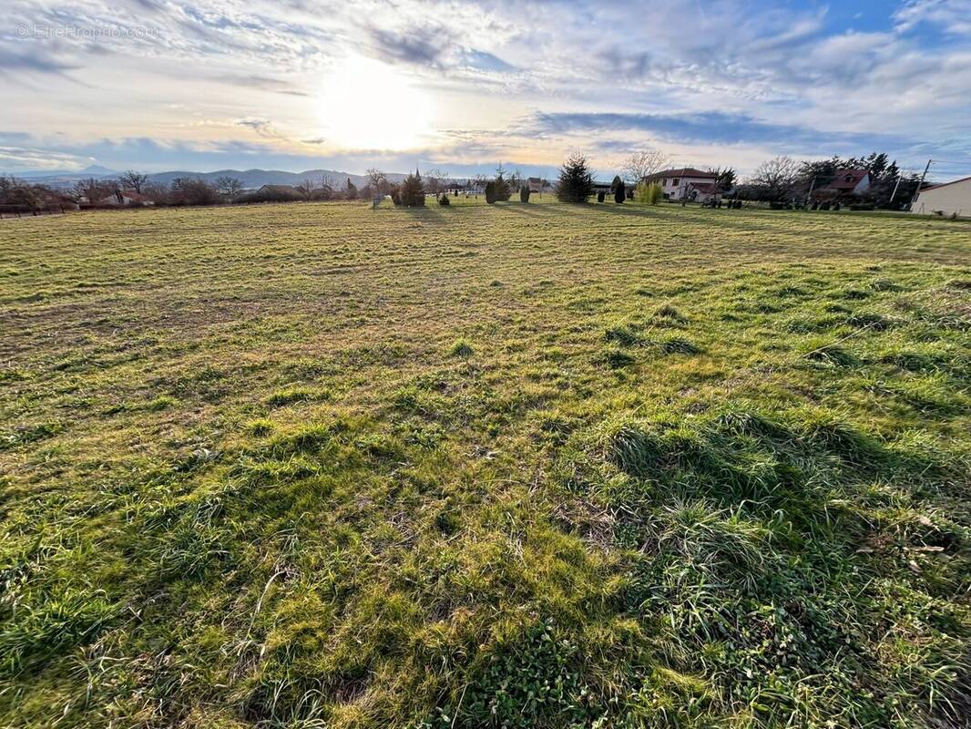 Terrain à JOSERAND