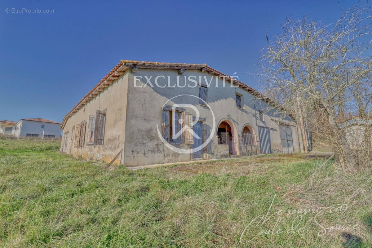 Ferme Lomagne - Maison à LAVIT