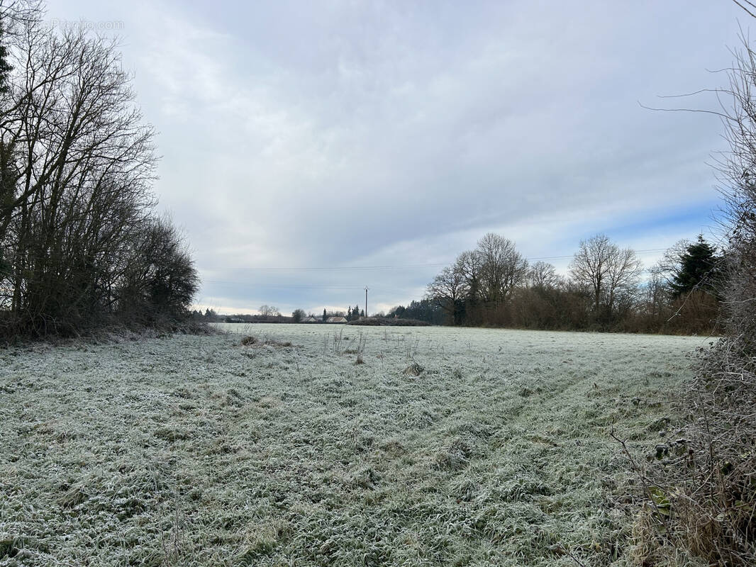 Terrain à AUGUAISE