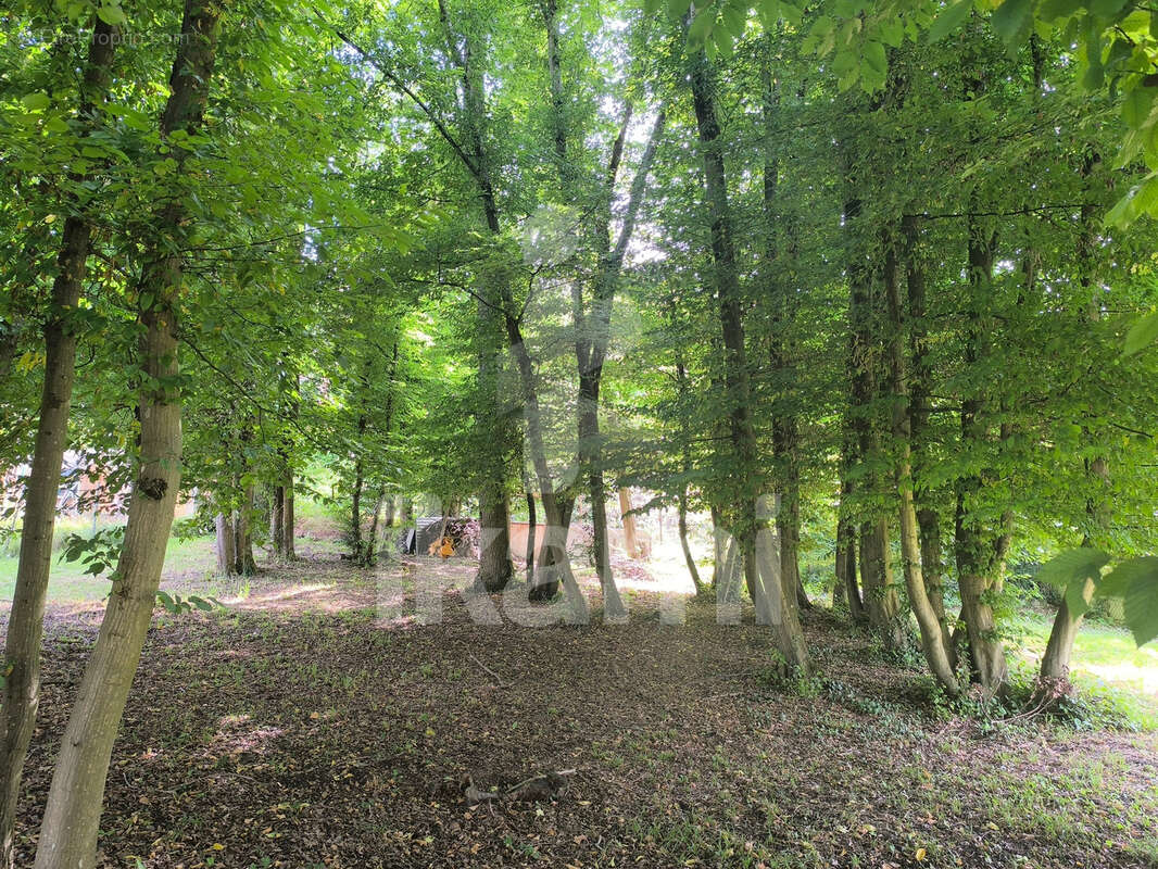 Terrain à BOUSSY-SAINT-ANTOINE