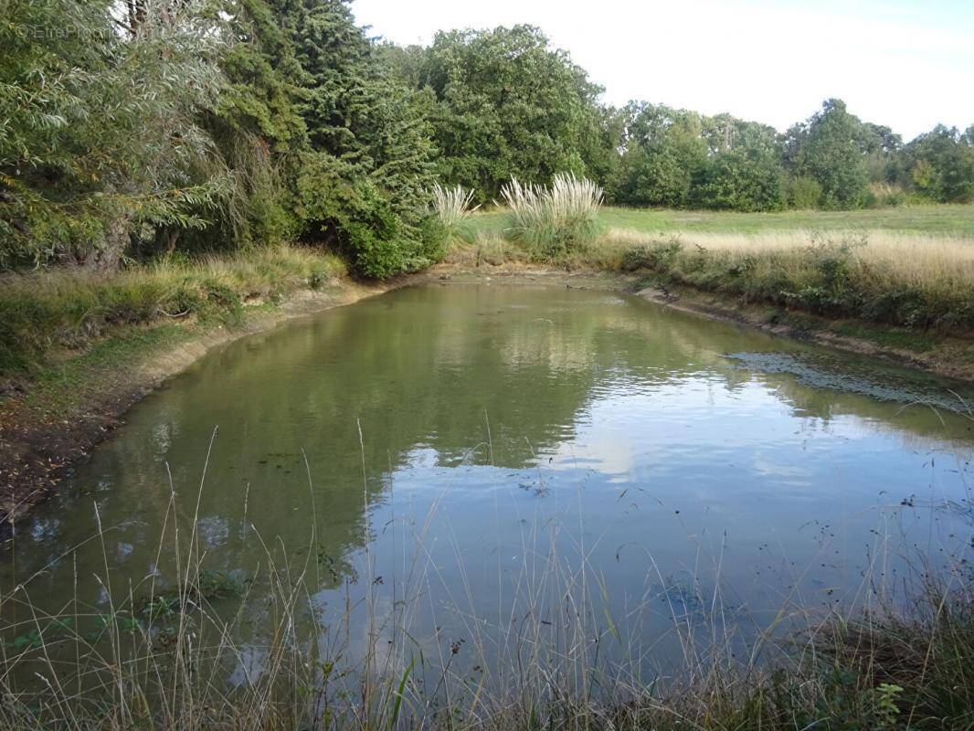 Terrain à LUREUIL