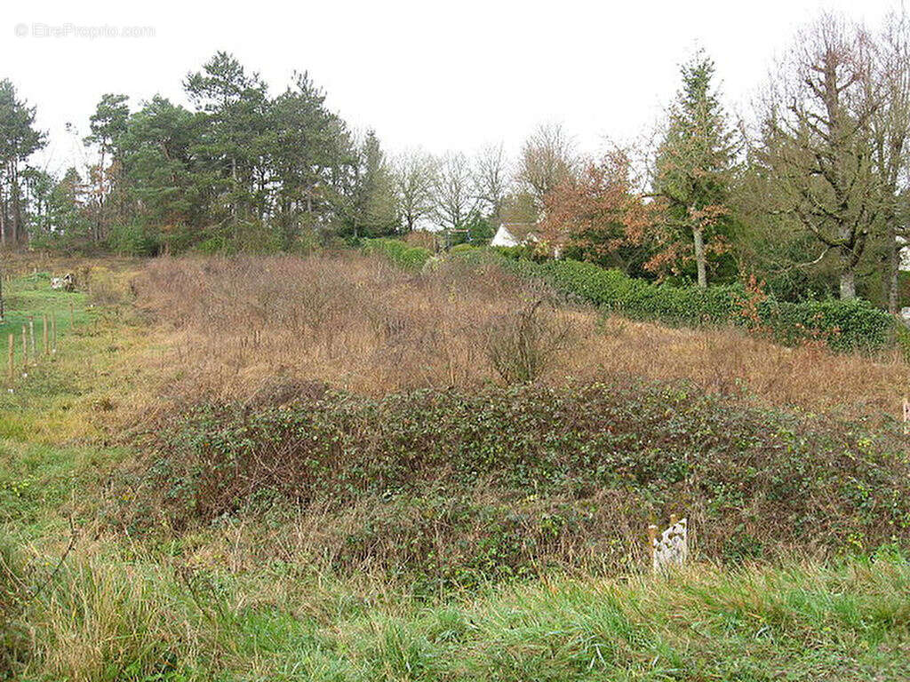 Terrain à PONT-SUR-YONNE