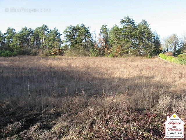 Terrain à PONT-SUR-YONNE