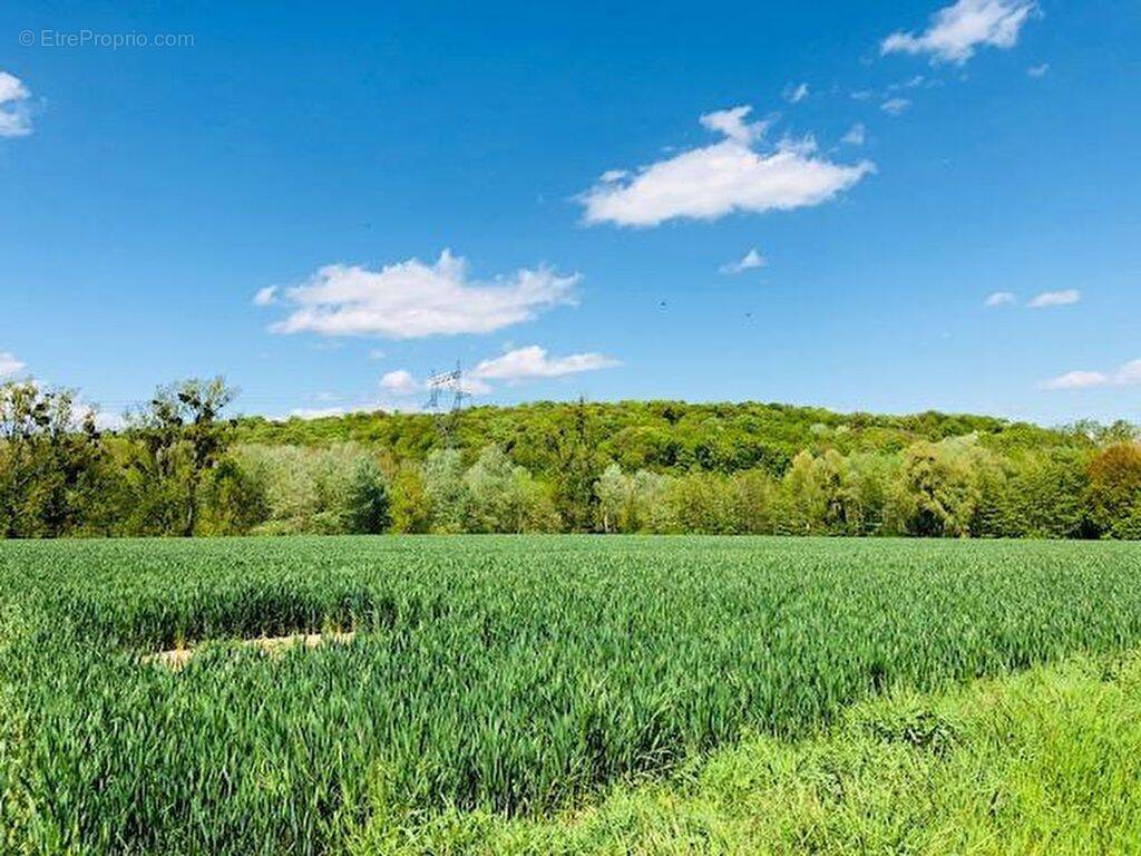 Terrain à THIESCOURT