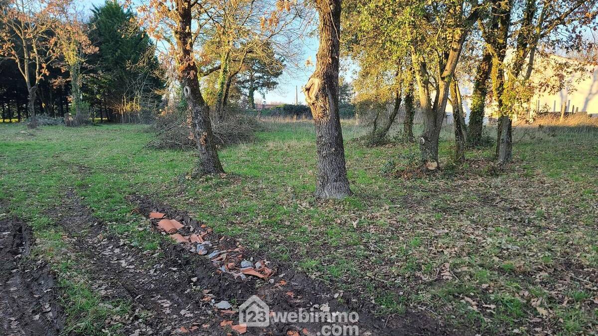 Terrain avec 12m de façade - Terrain à TALMONT-SAINT-HILAIRE