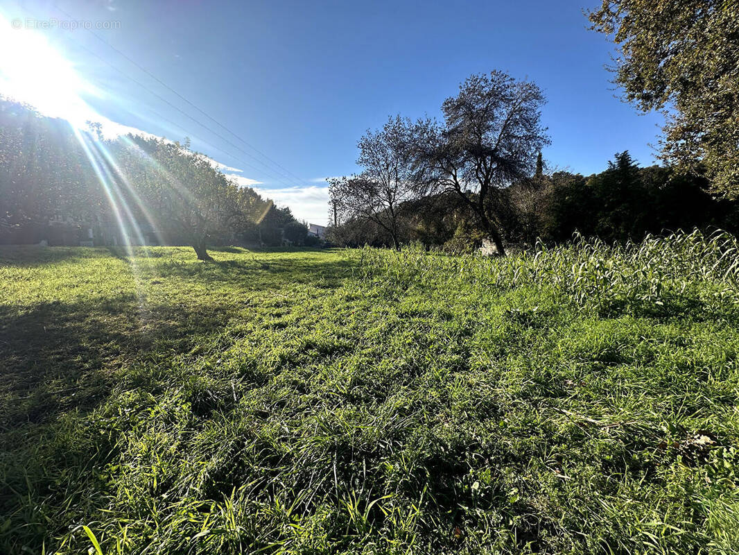 Terrain à LA GAUDE