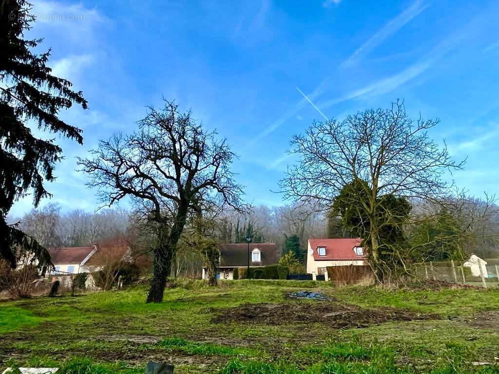 Terrain à VILLERS-COTTERETS