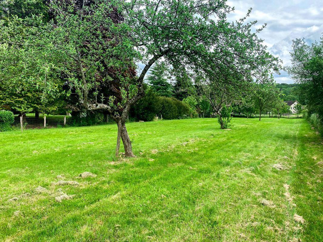 Terrain à VILLERSEXEL