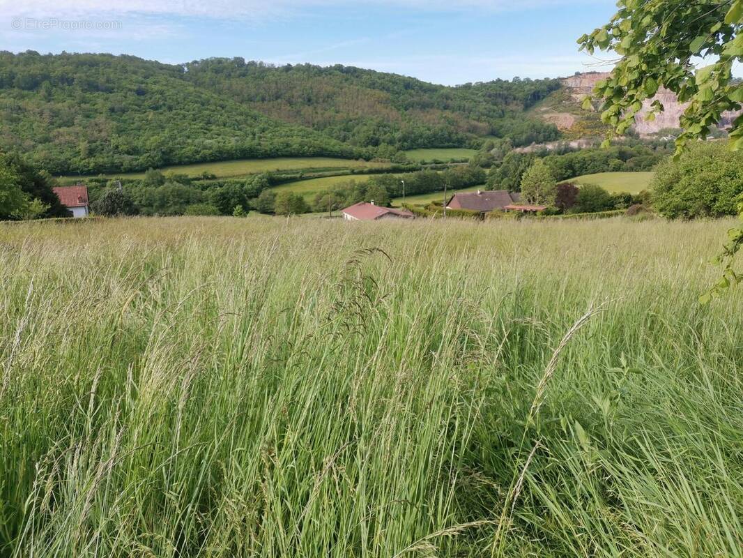 Photo 1 - Terrain à SAINT-SERNIN-DU-BOIS