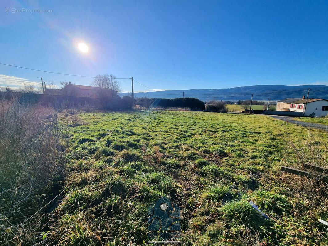 Terrain à AMBERT