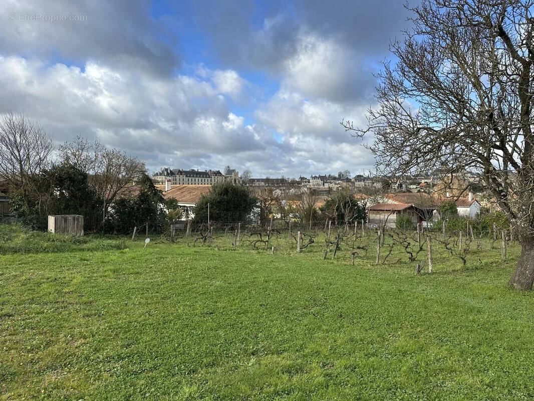 Terrain à SAINT-JEAN-DE-THOUARS