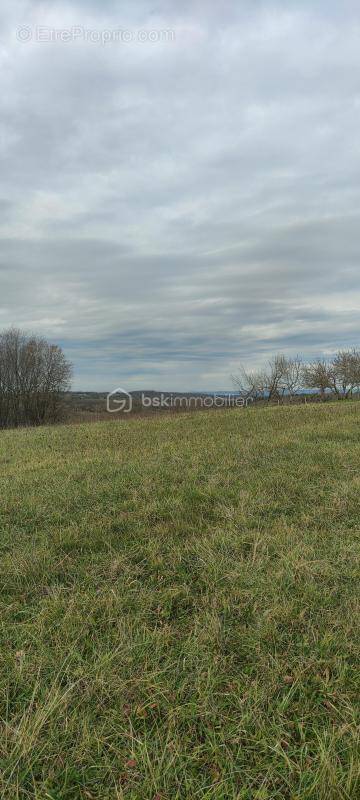 Terrain à MONTAUBAN