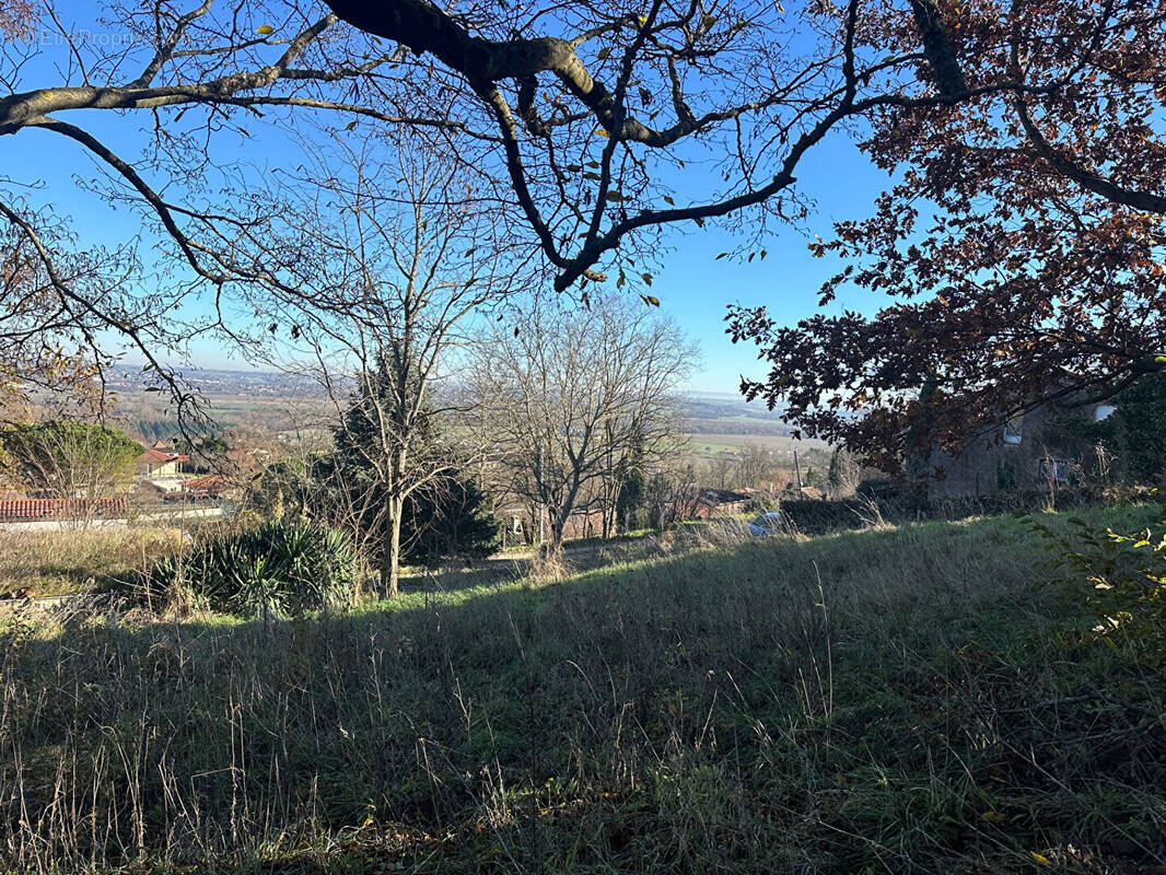 Terrain à PECHABOU