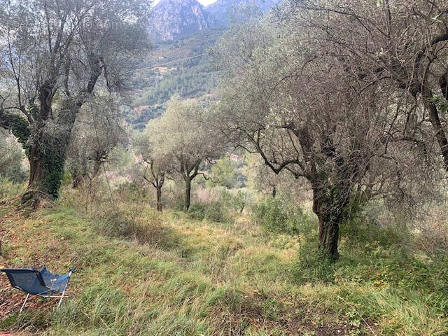 Terrain à CASTELLAR